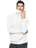 Casual Slim Fit Turtleneck Pullover Sweaters (US Only) Sweaters coofandystore