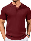 Ribbed Knit Textured Polo Shirt (US Only)