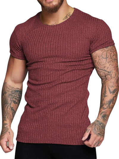 Stretch Pit Stripe Gym T-shirt (US Only) T-shirt coofandy Wine Red S 