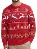 Halloween Ugly Knit Sweater Crewneck Graphic Pullover (US Only)