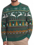 Halloween Ugly Knit Sweater Crewneck Graphic Pullover (US Only)
