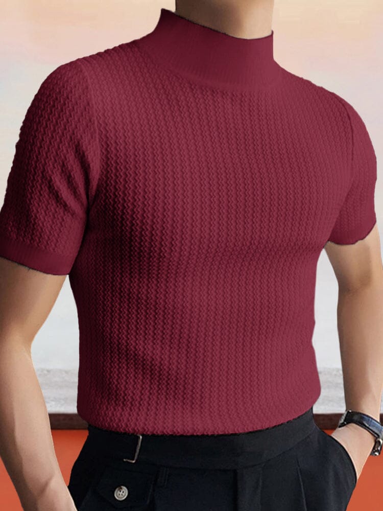 Casual Stretchy Turtleneck Top T-shirt coofandystore 