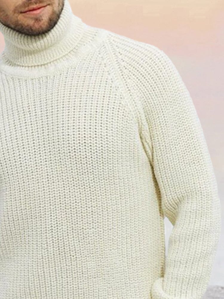 Pullover Turtleneck Bottoming Long-sleeved Sweater Fashion Hoodies & Sweatshirts coofandystore 