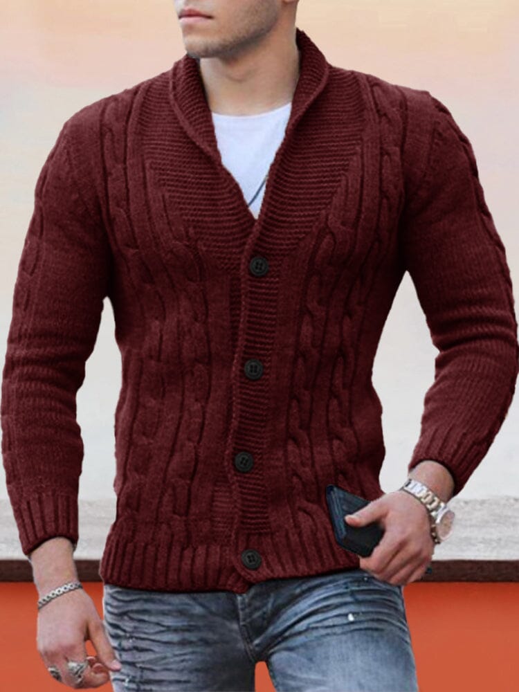 Slim V-Neck Sweater Sweaters coofandystore Wine Red S 
