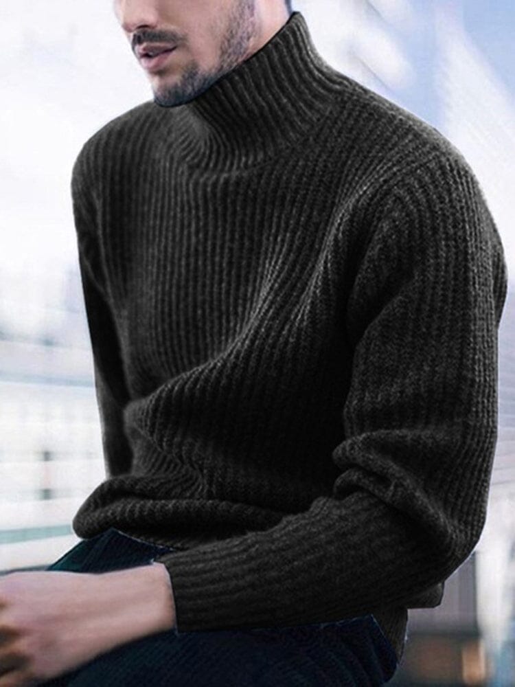 Solid Color Turtleneck Long Sleeve Knit Sweater Sweaters coofandystore Black M 