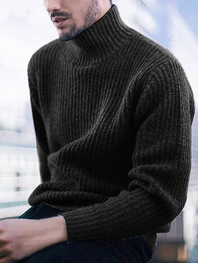 Solid Color Turtleneck Long Sleeve Knit Sweater Sweaters coofandystore Black M 
