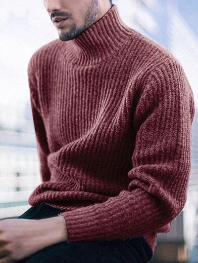 Solid Color Turtleneck Long Sleeve Knit Sweater Sweaters coofandystore Wine Red M 