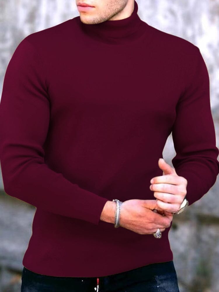 High Collar Pullover Basic Knit Sweater Sweaters coofandystore Wine Red M 