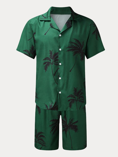 Hawaiian Graphic Beach T-shirt Sets Sets coofandystore 